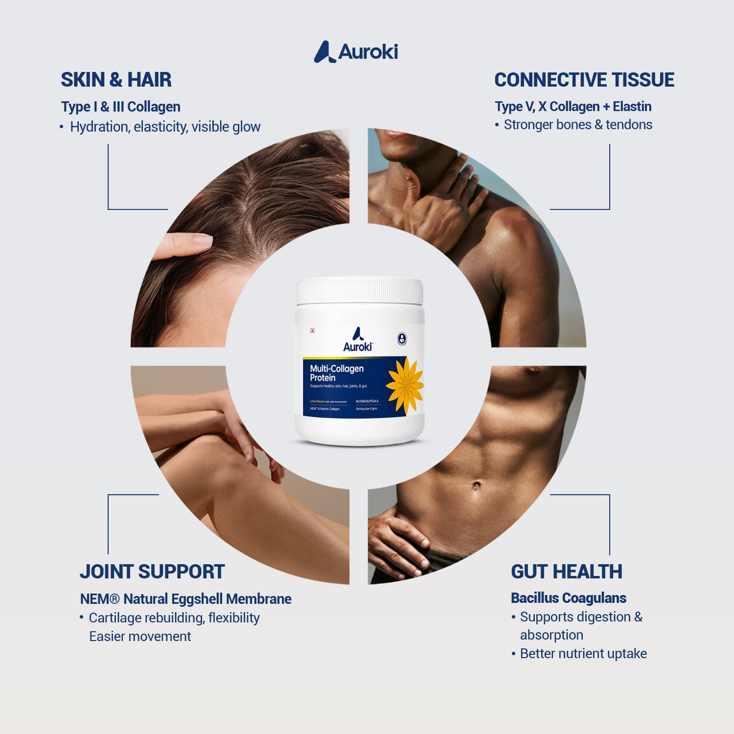 Multi Collagen Protein